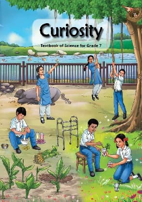 Curiosity - NCERT Class 7 PDF