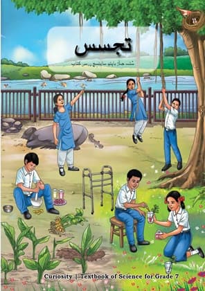 Curiosity (Kashmiri) - NCERT Class 7 PDF