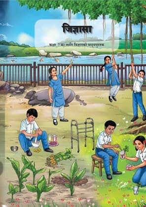 Curiosity (Nepali) - NCERT Class 7 PDF