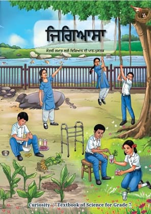 Curiosity (Punjabi) - NCERT Class 7 PDF