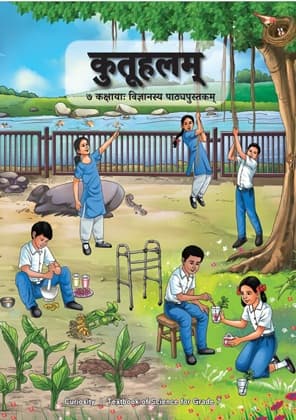 Curiosity (Sanskrit) - NCERT Class 7 PDF