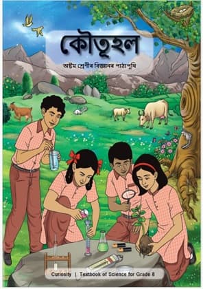 Curiosity (Assamese) - NCERT Class 8 PDF