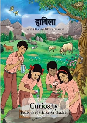 Curiosity (Bodo) - NCERT Class 8 PDF