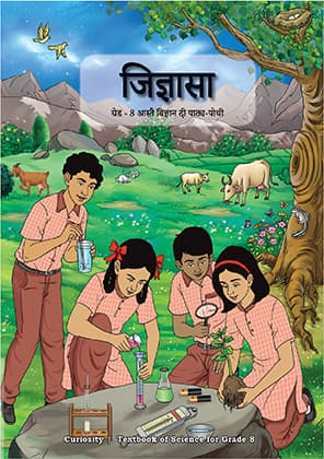 Curiosity (Dogri) - NCERT Class 8 PDF