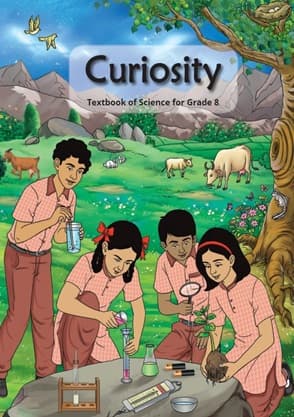 Curiosity - NCERT Class 8 PDF