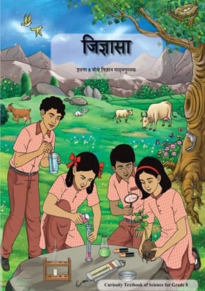 Curiosity (Marathi) - NCERT Class 8 PDF