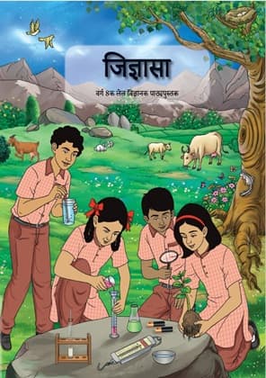 Curiosity (Maithali) - NCERT Class 8 PDF