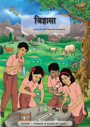 Curiosity (Nepali) - NCERT Class 8 PDF