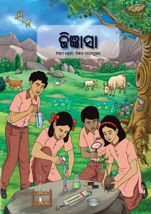 Curiosity (Odia) - NCERT Class 8 PDF