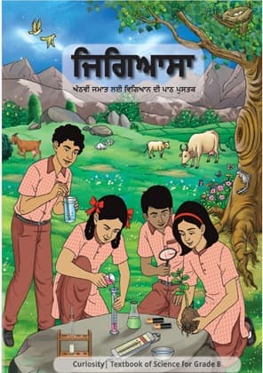 Curiosity (Punjabi) - NCERT Class 8 PDF