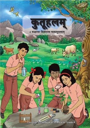 Curiosity (Sanskrit) - NCERT Class 8 PDF